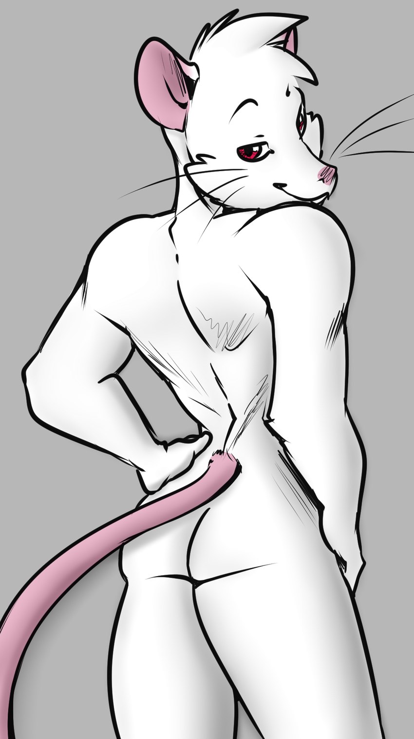 albino anthro athletic athletic_anthro athletic_male bedroom_eyes biped butt butt_pose cheek_tuft eyebrows facial_tuft fur fur_tuft grey_background half-closed_eyes hand_on_hip head_tuft looking_at_viewer looking_back male narrowed_eyes nude pink_nose pink_tail pose raised_eyebrows rear_view red_eyes seductive simple_background small_butt smile smirk solo standing tail thick_thighs thin_tail tuft whiskers white_body white_fur wide_hips lordboo pocketmew trenchbound isaac_(trenchbound) mammal murid murine rat rodent colored digital_drawing_(artwork) digital_media_(artwork) hi_res pinup portrait shaded soft_shading three-quarter_portrait