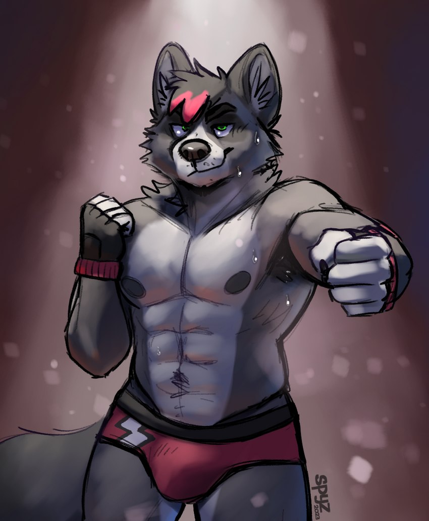 abs anthro biped black_nose bodily_fluids bulge clothing fur fur_markings gloves green_eyes grey_body grey_fur hair handwear inner_ear_fluff male markings multicolored_hair nipples pecs red_hair shirtless_male simple_background solo sweat sweatdrop tail tuft wrestler wrestling_briefs spyz_(artist) clawstar_wrestling elijah_(clawstar_wrestling) canid canine mammal 2023 digital_drawing_(artwork) digital_media_(artwork) shaded watermark