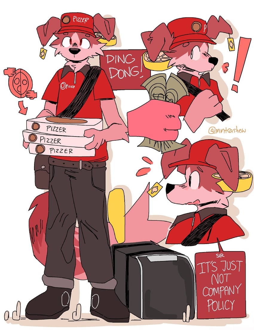 anthro biped black_eyes delivery_(commerce) floppy_ears food_delivery fur looking_at_viewer male multiple_poses pizza_delivery pose red_body red_fur slim_anthro slim_male solo standing mintcashew canid canine canis domestic_dog mammal 2024 absurd_res hi_res