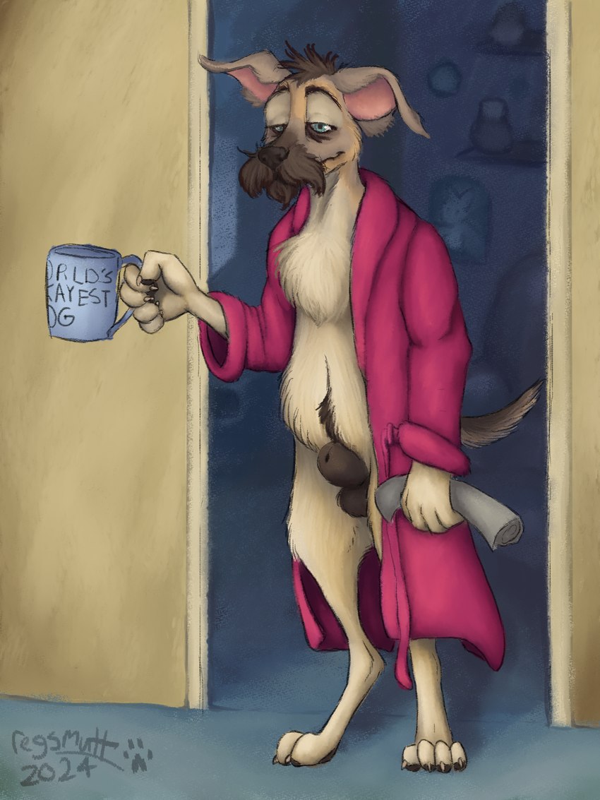 4_toes 5_fingers animal_genitalia anthro balls bathrobe bathrobe_only brown_balls brown_body brown_fur brown_sheath claws clothing container countershade_fur countershading cup digitigrade feet finger_claws fingers fur genitals grey_body grey_fur male morning mug newspaper pawpads robe scruffy_beard sheath solo standing standing_in_doorway tail tan_body tan_fur three-quarter_view toe_claws toes regsmutt reg_(regsmutt) canid canine canis domestic_dog mammal mixed_breed 2024 3:4 digital_media_(artwork) full-length_portrait hi_res portrait