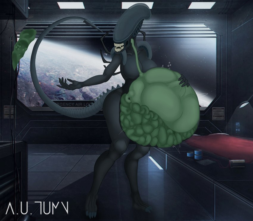 anthro belly bloated bulge esophagus eyeless female female_pred grey_body guts internal intestines organs science_fiction solo stomach tail teeth vore x-ray_view a.u.tumn alien_(franchise) alien xenomorph hi_res