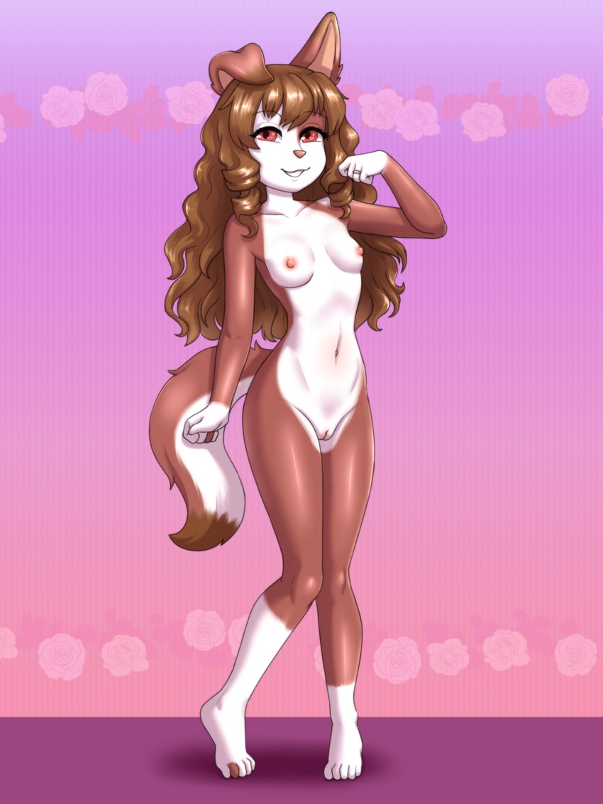 anthro areola biped breasts brown_body brown_hair countershade_face countershade_tail countershade_torso countershading eyebrows female floppy_ears front_view genitals gloves_(marking) hair leg_markings long_hair looking_at_viewer markings medium_breasts multicolored_body navel nipples nude one_ear_up pussy red_eyes ring simple_background smile socks_(marking) solo standing tail two_tone_body white_body white_countershading white_markings vermelhatan canid canine canis domestic_dog mammal 2024 3:4 absurd_res hi_res