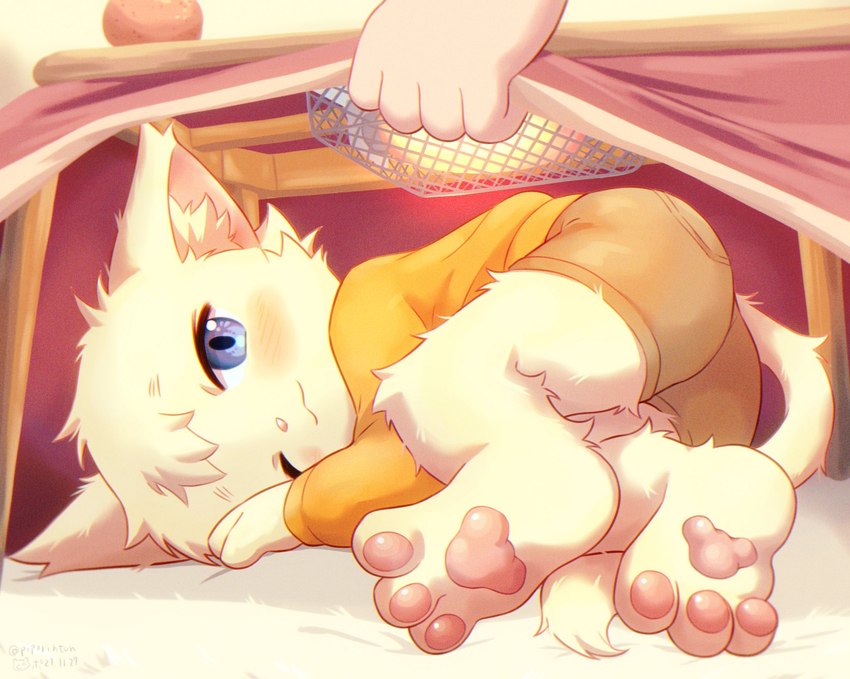 ambiguous_gender anthro blue_eyes blush boxers_(clothing) brown_boxers brown_clothing brown_underwear cat_smile clothing curled_up duo feet food foot_focus forehead_tuft fruit furniture kotatsu lifting_object light_body looking_at_viewer lying messy_fur on_side one_eye_closed orange_clothing orange_sweater orange_topwear pawpads pink_pawpads pink_tablecloth plant solo_focus spread_toes sweater table tail tail_tuft toes topwear tuft underwear young young_anthro piporinton ambiguous_species domestic_cat felid feline felis mammal hi_res