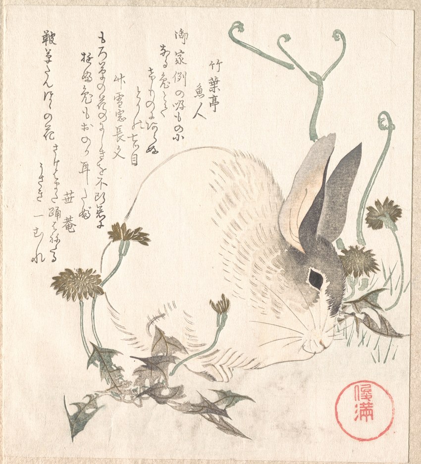 ambiguous_gender black_eyes dandelion feral flower fur grey_body grey_fur multicolored_body multicolored_fur paws plant solo text two_tone_body two_tone_fur whiskers white_body white_fur woodblock_print kubo_shunman lagomorph leporid mammal rabbit 1820 19th_century ancient_art hi_res japanese_text traditional_media_(artwork) translation_request