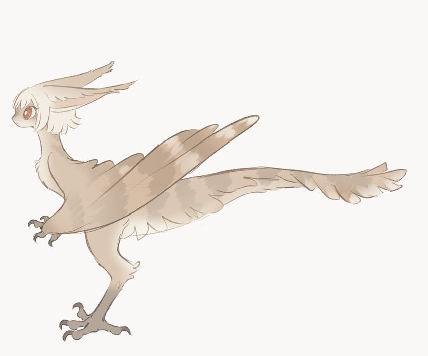 ambiguous_gender avian_feet brown_body brown_feathers claws feathers feet hair long_ears red_eyes short_hair sickle_claw side_view standing tail talon_hands talons toe_claws toes white_hair winged_arms wings tateoftot european_mythology greek_mythology mythology avian harpy mythological_avian mythological_creature hi_res sketch