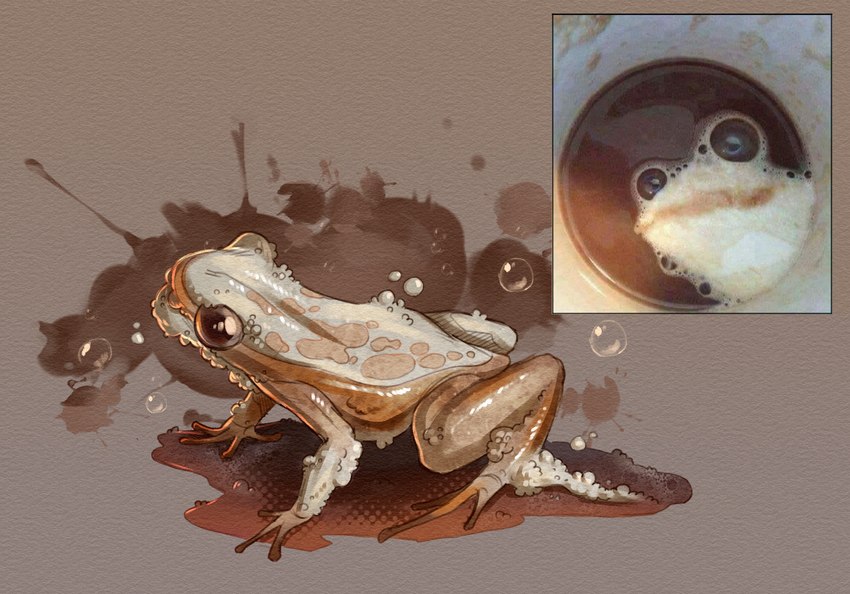 ambiguous_gender beverage bubble coffee feral food latte_art quadruped reference_image solo rappenem amphibian food_creature frog hi_res