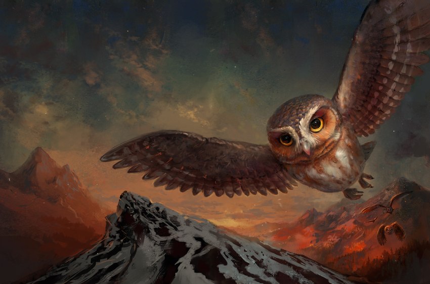 beak brown_body brown_feathers detailed_background feathers feet female feral flying group mountain talons toes yellow_eyes jedrzej_chelminski guardians_of_ga'hoole gylfie avian barn_owl bird elf_owl great_grey_owl owl strix_(genus) true_owl tyto tytonid official_art