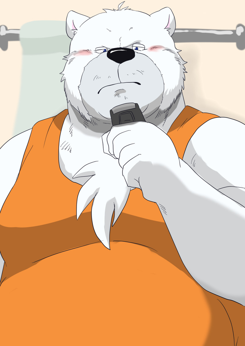 anthro belly blush clothing fur humanoid_hands kemono male overweight overweight_anthro overweight_male shirt solo topwear white_body white_fur kuma_(pixiv_881259) kumadasi bear mammal polar_bear ursine 2012 hi_res