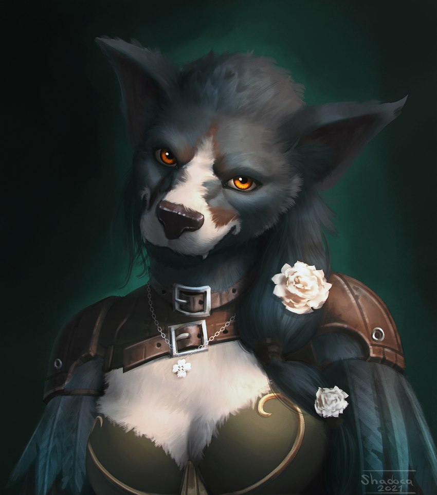 accessory black_body black_fur black_hair clothed clothing female flower flower_in_hair fur hair hair_accessory jewelry leather leather_clothing looking_at_viewer necklace plant red_cross simple_background solo white_body white_fur yellow_eyes shadoca blizzard_entertainment warcraft canid mammal werecanid werecreature worgen 2021 hi_res