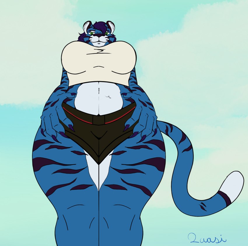 anthro blue_body blue_fur bottomwear boy_shorts claws clothing crop_top crossgender female first_person_view fur looming low-angle_view macro midriff shirt shorts solo topwear under_breasts underwear warlus quasi_(warlus) felid mammal pantherine tiger hi_res