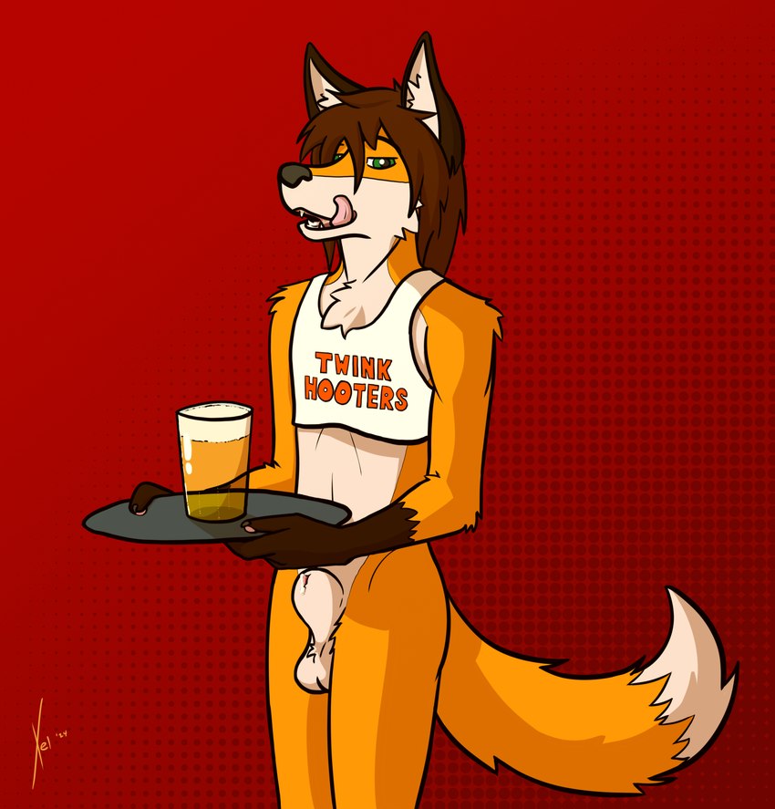 alcohol animal_genitalia anthro balls beer beer_glass beverage bodily_fluids clothing crop_top detached_sheath femboy fully_sheathed genital_fluids genitals green_eyes licking licking_lips male precum sheath shirt solo tongue tongue_out topwear tray xel_(artist) hooters xel_(character) canid canine fox mammal hi_res