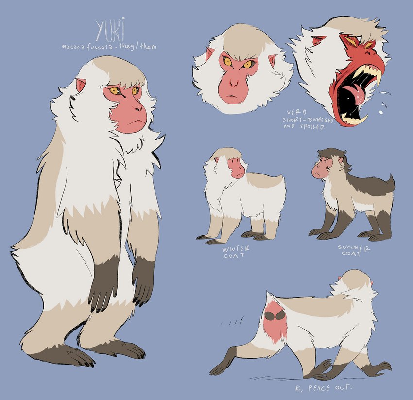 :< ambiguous_gender angry expressions feral pronouns seasonal_pelt solo summer_pelt text winter_pelt spoonfayse yuki_(spoonfayse) haplorhine japanese_macaque macaque mammal monkey old_world_monkey primate english_text hi_res model_sheet nonbinary_(lore)