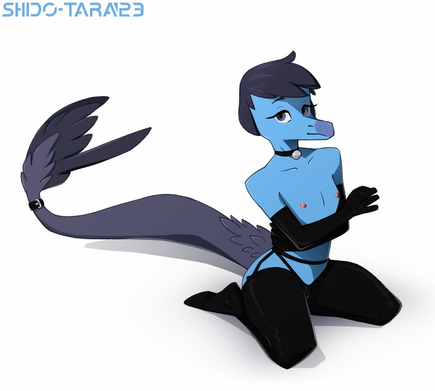 anthro blue_body clothing collar crossed_arms feathered_tail feathers femboy gloves grey_eyes handwear kneeling legwear lingerie male multicolored_body nipples nude simple_background solo stockings tail underwear conditional_dnp shido-tara goodbye_volcano_high alvin_(gvh) dinosaur dromaeosaurid prehistoric_species reptile scalie theropod hi_res