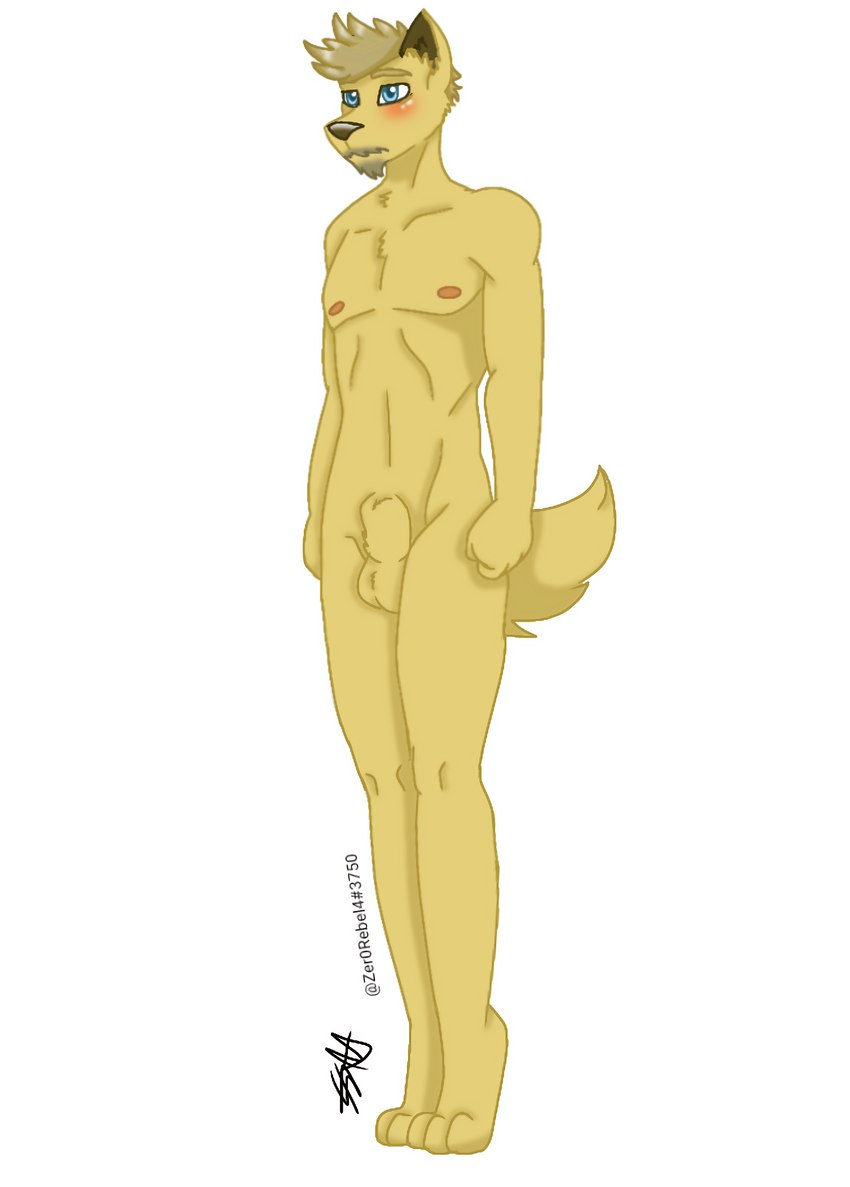 animal_genitalia anthro balls big_balls big_sheath blonde_hair blue_eyes blush facial_hair fully_sheathed fur genitals hair large_sheath male mature_anthro mature_male muscular muscular_anthro muscular_male mustache nipples nude paws raised_tail sheath solo standing tail y_sheath_opening yellow_body yellow_fur zer0rebel4 dmitri_(zer0rebel4) bird_dog canid canine canis domestic_dog golden_retriever great_dane hunting_dog mammal mastiff mixed_breed molosser retriever digital_media_(artwork) hi_res