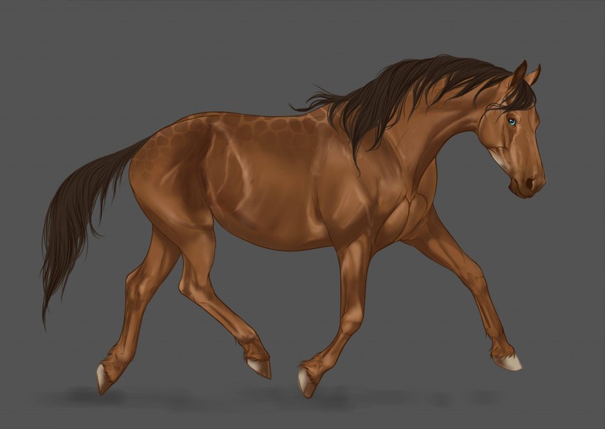 ambiguous_gender blue_eyes brown_body brown_hair brown_mane brown_tail feathering feral fur hair hooves looking_at_viewer mane solo tail trotting superlavplov dolero equid equine horse mammal 2022 digital_media_(artwork)