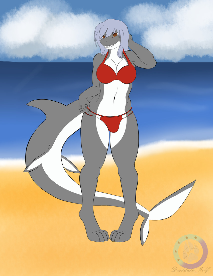 anthro beach bikini blue_hair breasts brown_eyes bulge clothing cloud grey_body gynomorph hair intersex non-mammal_breasts red_bikini red_clothing red_swimwear seaside sharp_teeth sky smile solo swimwear teeth two-piece_swimsuit water darkdukewolf fish marine shark absurd_res hi_res