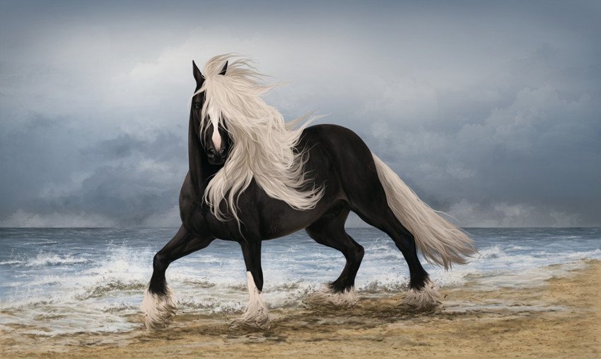 anatomically_correct animal_genitalia beach black_body black_fur black_sheath cloud day detailed_background feathering feral fully_sheathed fur genitals long_mane long_tail looking_at_viewer male mane multicolored_body multicolored_fur quadruped realistic_feral sand sea seaside sheath sky solo tail two_tone_body two_tone_fur water white_body white_fur white_mane white_tail ganya aidan_(apollo13) draft_horse equid equine horse mammal shire 2018 digital_media_(artwork) digital_painting_(artwork)