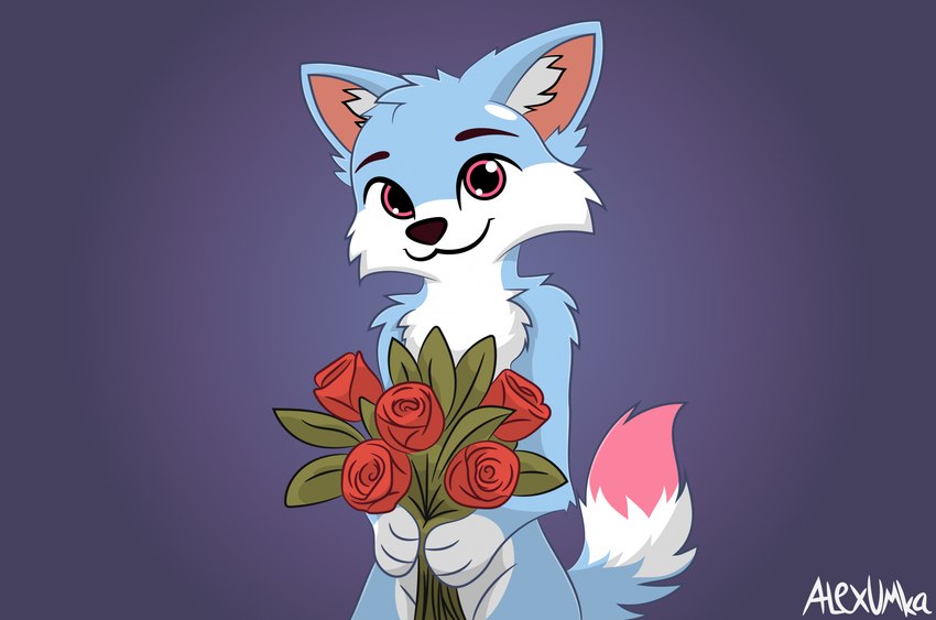 anthro blue_body blue_fur dipstick_tail flower fluffy fur male markings pink_eyes pink_tail_tip plant rose_(flower) solo tail tail_markings alexumka umkashka canid canine canis domestic_cat domestic_dog felid feline felis fox mammal hi_res wallpaper