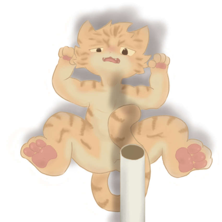 4_fingers 4_toes anthro brown_eyes cardboard_tube fangs feet fingers lying male null open_mouth orange_ears orange_tail pawpads pink_pawpads simple_background solo tail teeth toes tongue tube white_background juiice_114 maodie felid feline mammal 1:1