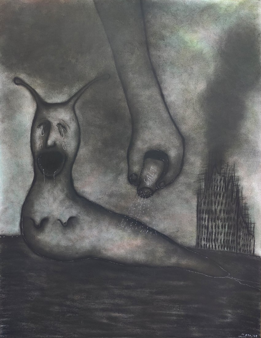 ambiguous_gender bodily_fluids building crying drooling duo eyes_closed feral holding_salt_shaker horror_(theme) humanoid_face pain pouring saliva salt salt_shaker smoke tears matas_martinaitis gastropod human mammal mollusk slug 2025 charcoal_(artwork) hi_res pastel_(artwork) pen_(artwork) traditional_media_(artwork)