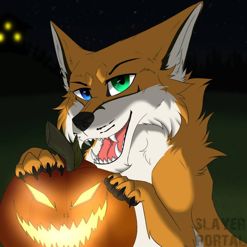 anthro black_nose blue_eyes creepy_face fangs fur grass green_eyes holidays jack-o'-lantern looking_at_viewer male orange_body orange_fur pawpads paws plant simple_background sky smile solo star starry_sky teeth white_body white_fur slayerportal halloween alexander_the_fox canid canine canis fox mammal red_fox true_fox 1:1 digital_media_(artwork) signature