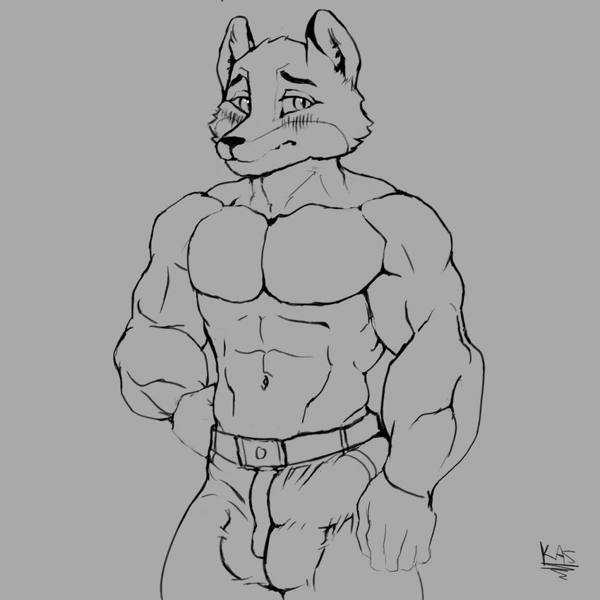 abs anthro balls_outline big_bulge big_muscles biped blush bulge clothed clothing detailed_bulge erection erection_under_bottomwear erection_under_clothing flushed genital_outline male male_anthro muscular muscular_anthro muscular_male pecs penis_outline sideways-pointing_bulge solo topless topless_anthro topless_male kastanja canid canine fox mammal 1:1 monochrome sketch