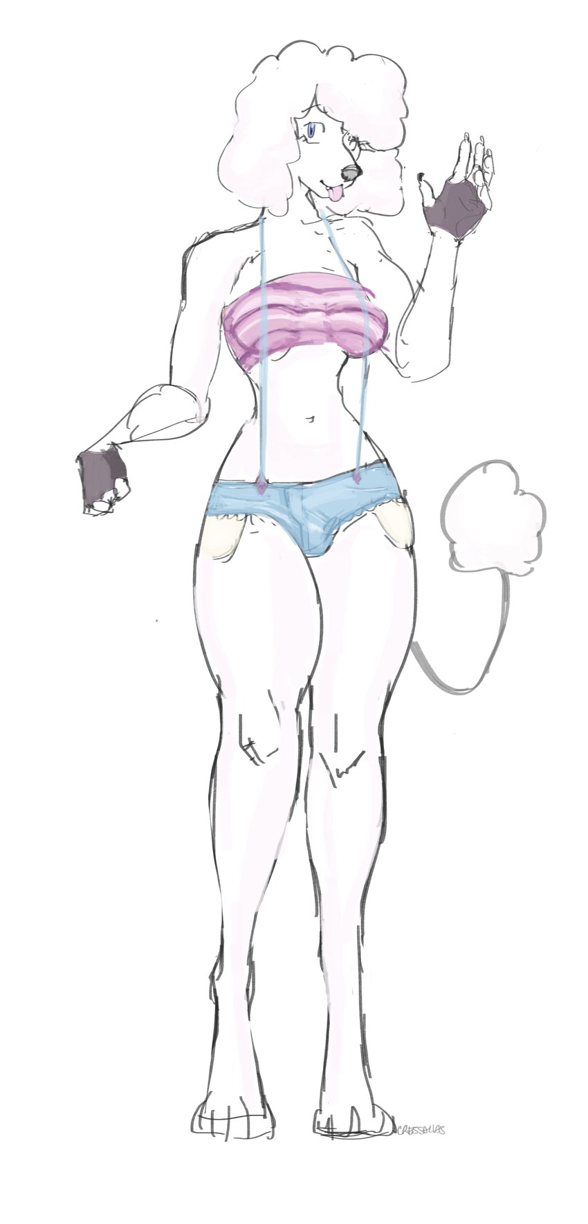 anthro bottomwear breasts bulge clothed clothing fingerless_gloves fingers fully_clothed fur gloves gynomorph handwear intersex navel shorts suspenders white_body white_fur cressalias canid canine canis domestic_dog mammal poodle 2024 absurd_res digital_media_(artwork) hi_res