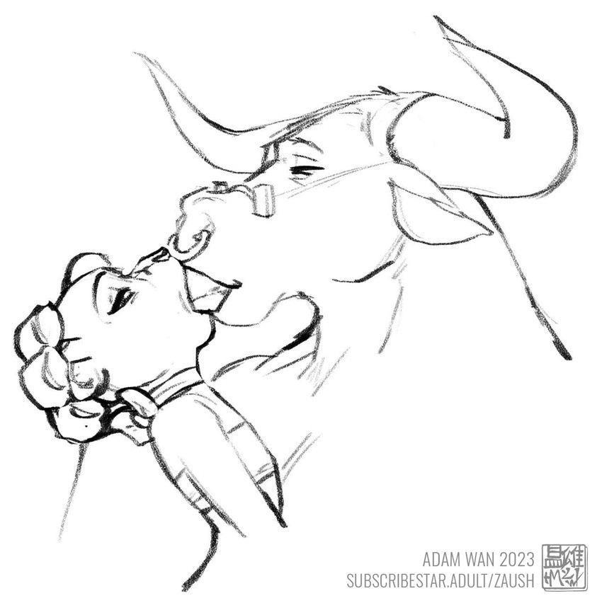 Zaush Patreon
