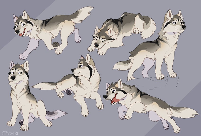 4_toes ambiguous_gender black_nose brown_eyes feet feral fur grey_body grey_fur open_mouth paws sitting solo tan_body tan_fur teeth toes tongue kitchiki canid canine canis domestic_dog mammal northern_inuit 2023 digital_media_(artwork) hi_res