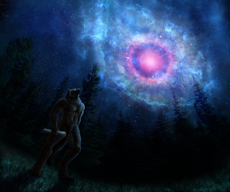 amazing_background anthro biped black_lips black_nose blue_eyes brown_body brown_fur detailed_background digitigrade evergreen_tree feet forest fur glowing glowing_eyes grass hindpaw holding_object holding_scroll humanoid_hands inner_ear_fluff lips long_mouth looking_up male nature night no_pupils no_sclera nude outside paws photorealism pine_tree plant scroll shadow snout solo space standing star tree tuft white_body white_fur jocarra canid canine canis mammal wolf cool_colors detailed hi_res