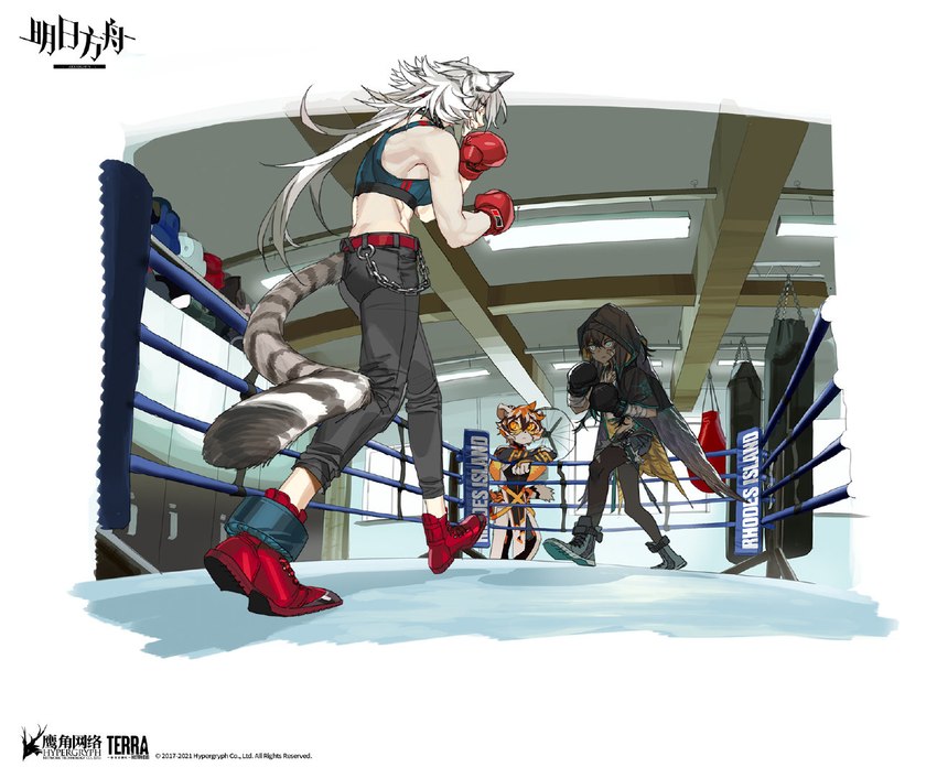 anthro black_body blue_eyes boxing boxing_gloves chain clothing eyewear female fighting_ring fur glasses group hair handwear locker multicolored_body multicolored_fur multicolored_hair orange_body orange_fur orange_hair punching_bag sport walking white_body white_fur white_hair unknown_artist arknights hypergryph studio_montagne flint_(arknights) indra_(arknights) waaifu_(arknights) animal_humanoid cat_humanoid felid felid_humanoid feline feline_humanoid humanoid mammal mammal_humanoid pantherine tiger 2021