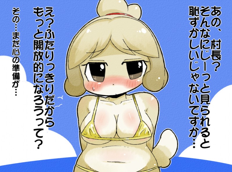 anthro bikini blush bodily_fluids breasts clothed clothing fangs female navel skimpy slightly_chubby solo sweat swimwear teeth text two-piece_swimsuit wet nikuq_owata animal_crossing nintendo isabelle_(animal_crossing) canid canine canis domestic_dog mammal shih_tzu toy_dog japanese_text translation_request