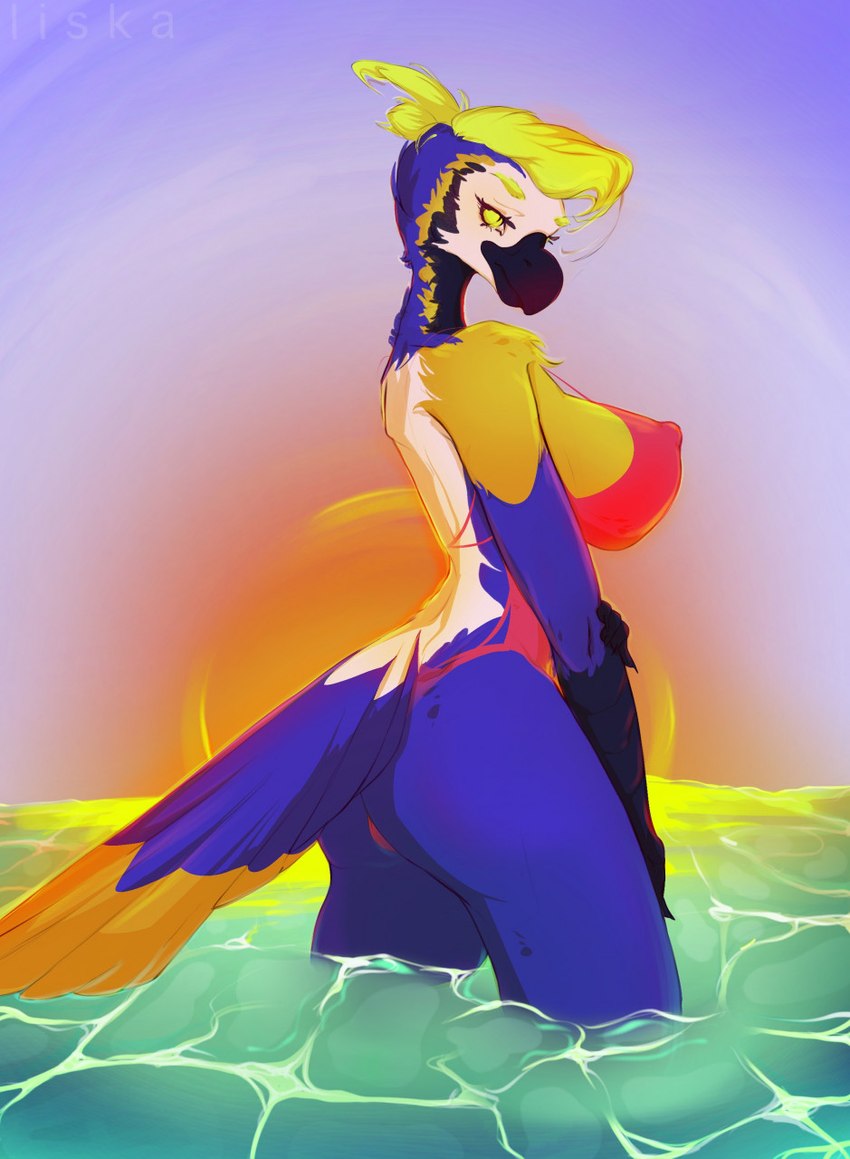 anthro backless_clothing backless_swimsuit blonde_hair blue_body blue_fur breasts clothing feathers female fur hair multicolored_body multicolored_feathers nipple_outline non-mammal_breasts one-piece_swimsuit outside partially_submerged sea seascape seaside sky solo swimming swimwear tail tail_feathers water yellow_eyes ststboy avian bird hi_res