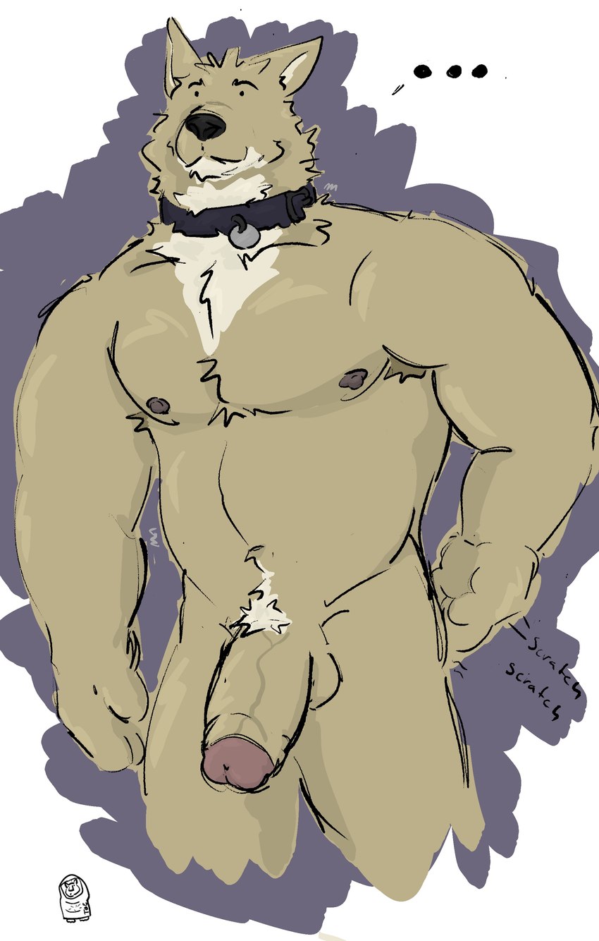 anthro balls breasts collar collar_only erection foreskin fur genitals hair male muscular nipples nude penis scratching simple_background solo vein veiny_penis dickinoatmeal canid canine canis domestic_dog mammal absurd_res hi_res sketch