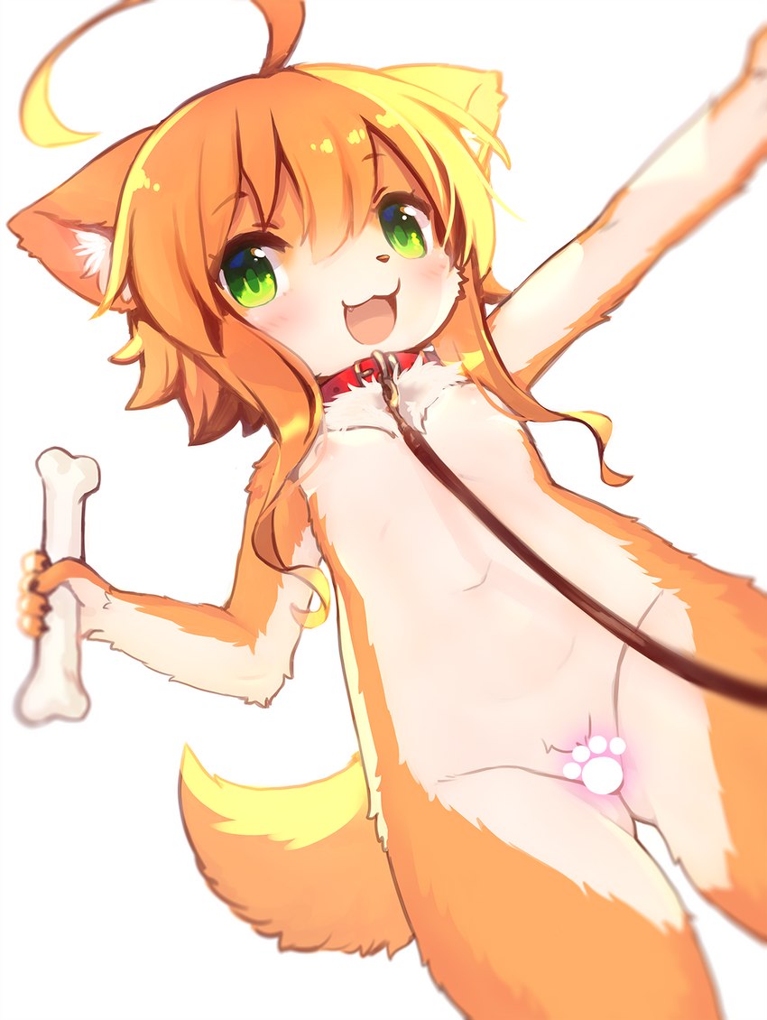 5_fingers ahoge anthro areola bone breasts butt butt_from_the_front collar cute_fangs fangs female female_anthro fingers fur green_eyes hair holding_bone kemono leash loli multicolored_body multicolored_fur nipples orange_body orange_ears orange_fur orange_hair orange_tail paw_censor pink_tongue red_collar small_breasts solo tail teeth tongue two_tone_body two_tone_fur white_body white_fur young young_anthro young_female hojicha_(pixiv) wanko_to_kurasou mikan_(wanko) canid canine canis domestic_dog mammal censored hi_res