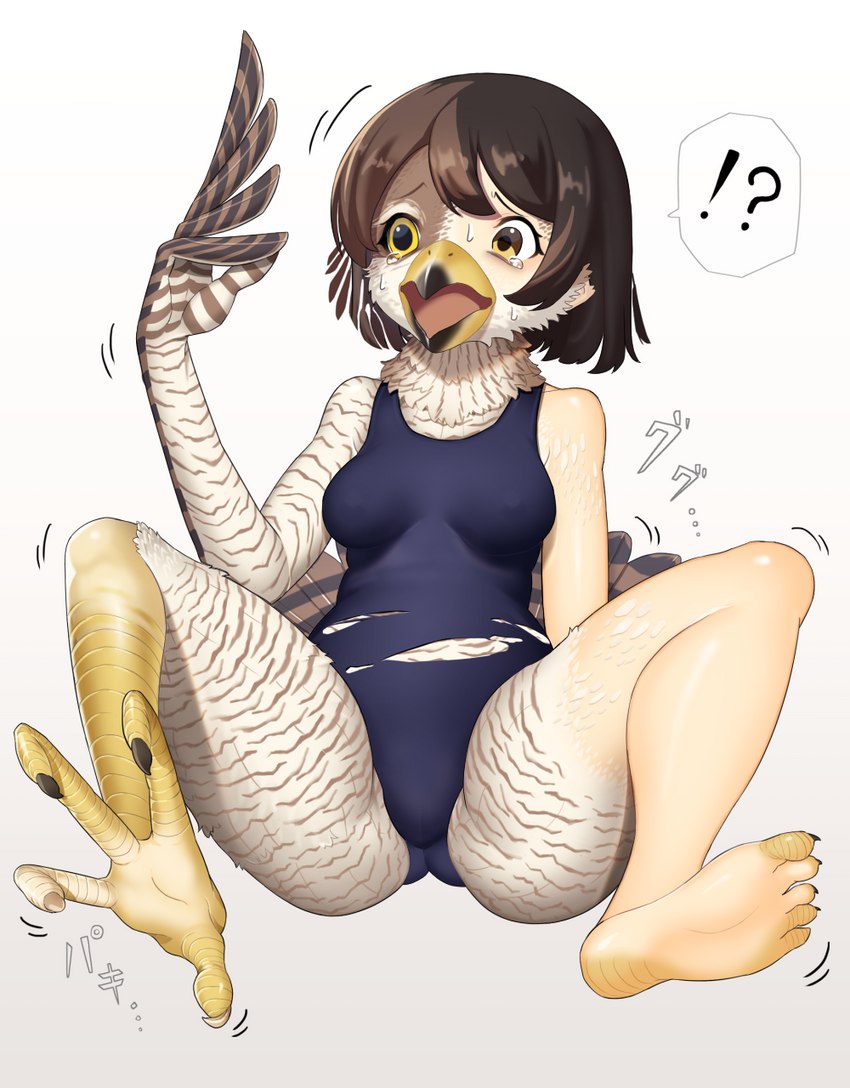 4_toes ?! anisodactyl barefoot beak beak_growth black_hair bodily_fluids breasts brown_hair camel_toe claw_growth claws clothing feather_growth feathered_wings feathers feet female growth hair human_to_anthro looking_at_self mid_transformation nipple_outline one-piece_swimsuit open_mouth scutes short_hair simple_background sitting solo species_transformation spread_legs spreading striped_body stripes surprise sweat swimwear talons tears text toe_claws toes torn_clothing transformation white_background wings yellow_eyes airotf avian bird falcon falconid human mammal 2022 hi_res japanese_text shaded