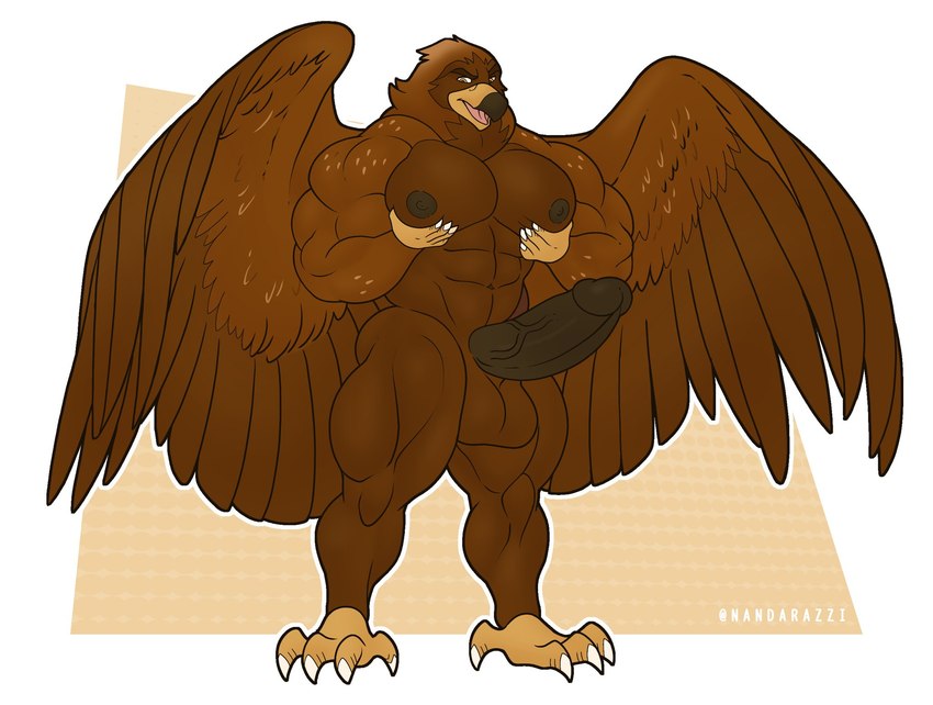 abs anthro balls beak big_muscles big_pecs big_penis black_nipples black_penis brown_balls brown_body brown_feathers feathers feet genitals hand_on_chest looking_down looking_down_at_self male muscular muscular_anthro muscular_male navel nipples open_beak open_mouth pecs penis pink_tongue solo standing talons toes tongue vein veiny_penis wings nandarazzi accipitrid accipitriform avian bird eagle golden_eagle true_eagle hi_res