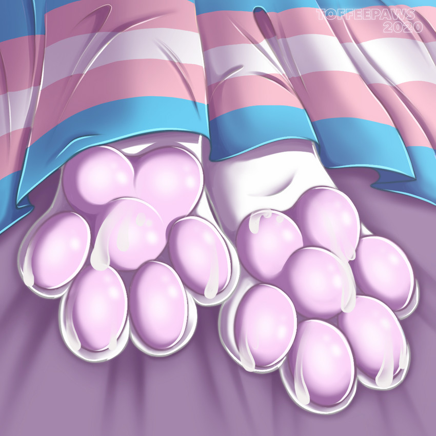 4_toes ambiguous_gender anthro bed_sheet bedding bodily_fluids cum cum_on_feet feet foot_fetish foot_focus foot_shot fur genital_fluids lgbt_pride pawpads paws paws_only pink_pawpads pride_colors soles solo toes transgender_pride_colors white_body white_fur toffeepaws mammal 1:1 2020 digital_media_(artwork)