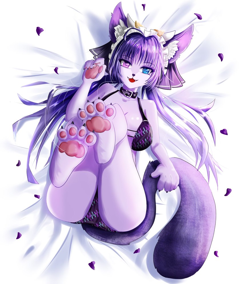 anthro black_nose butt female fur furry_ears furry_tail heterochromia looking_at_viewer lying on_back pawpads paws pink_pawpads tail unknown_artist vtuber esferitavt canid canine fox mammal digital_media_(artwork) hi_res