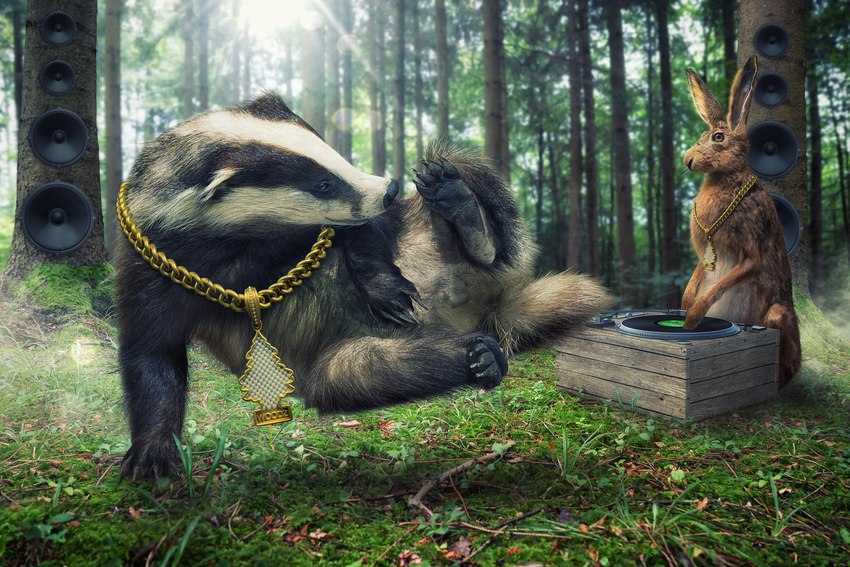 ambiguous_gender bling breakdancing dancing duo feral male john_wilhelm badger hare lagomorph leporid mammal mustelid musteline 3d_(artwork) digital_media_(artwork) hi_res