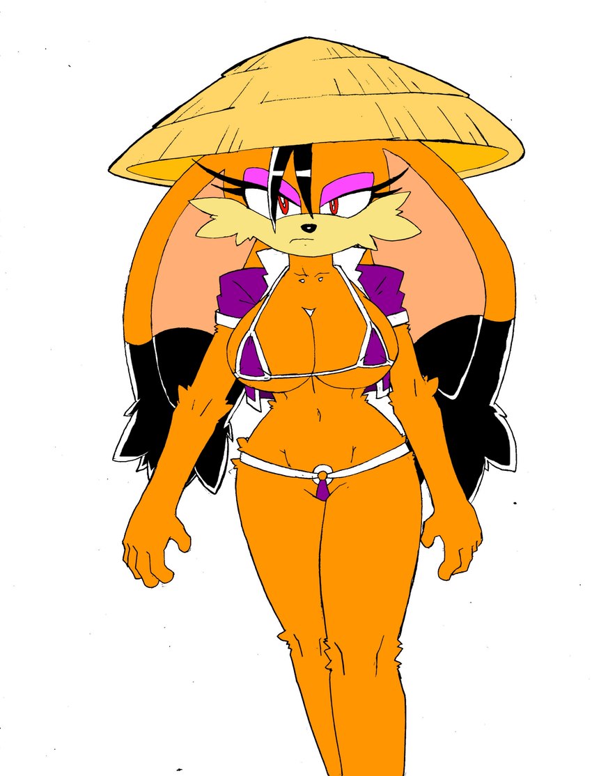 anthro big_breasts bikini breasts clothed clothing female skimpy solo swimwear two-piece_swimsuit superbunnygt archie_comics sega sonic_the_hedgehog_(archie) sonic_the_hedgehog_(comics) sonic_the_hedgehog_(series) conquering_storm felid feline lynx mammal absurd_res colored digital_media_(artwork) hi_res