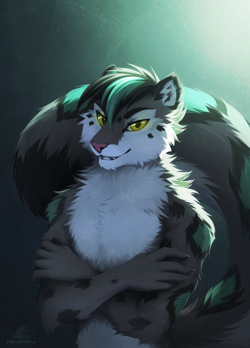 5_fingers anthro black_body black_fur black_hair fingers fur green_eyes hair male smile solo white_body white_fur neotheta 2021 digital_media_(artwork) hi_res