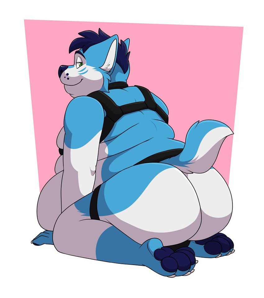 anthro back_rolls bedroom_eyes belly belly_overhang big_belly big_butt blue_body blue_fur blue_hair blue_pawpads butt butt_focus cheek_tuft claws double_chin facial_tuft fat_rolls feet fur hair harness hindpaw huge_butt kneeling looking_at_viewer looking_back looking_back_at_viewer male mostly_nude multicolored_body multicolored_fur narrowed_eyes obese obese_anthro obese_male overweight overweight_anthro overweight_male pawpads paws rear_view seductive simple_background solo tail three-quarter_view tuft two_tone_body two_tone_fur white_body white_fur shikakaka wintie canid canine canis domestic_dog husky hybrid mammal nordic_sled_dog spitz wolf