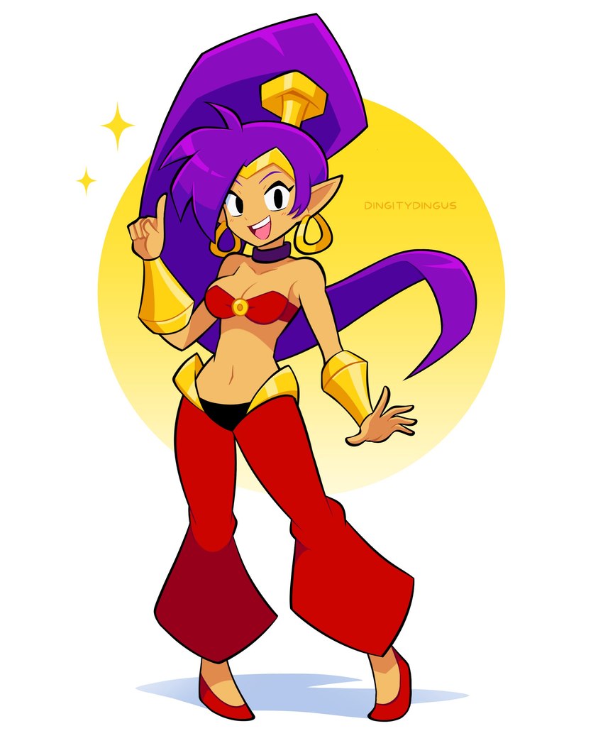 breasts clothing ear_piercing ear_ring female footwear hair humanoid_pointy_ears long_hair looking_at_viewer not_furry open_mouth open_smile piercing pointy_ears ponytail purple_hair ring_piercing simple_background smile solo tan_body tan_skin dingitydingus shantae_(series) wayforward shantae genie humanoid absurd_res hi_res signature