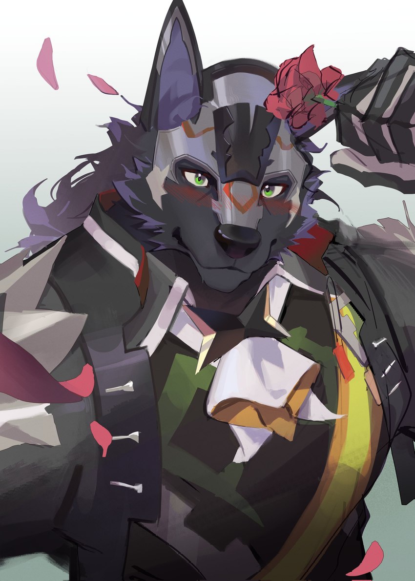 anthro black_body black_fur black_nose clothed clothing flower fur green_background green_eyes mask petals plant rose_(flower) simple_background solo white_background tian_qi_qing cygames world_flipper rolf_(world_flipper) canid canine canis mammal wolf 2024 absurd_res colored hi_res