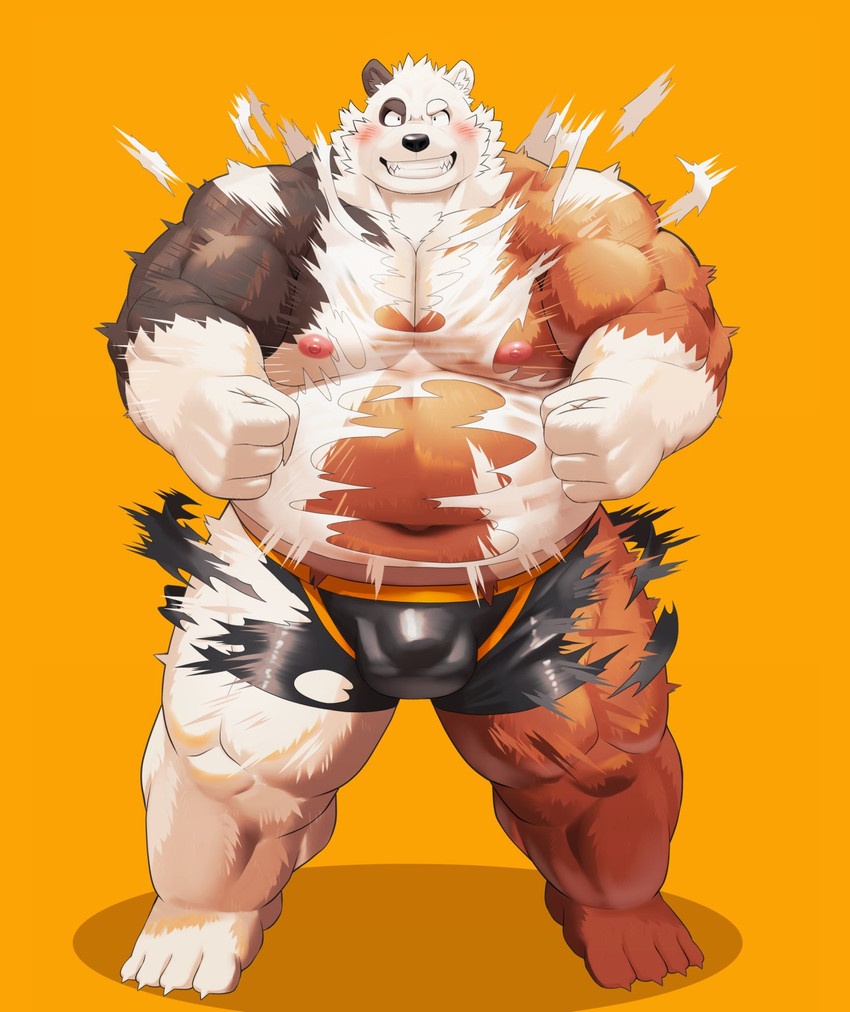 anthro belly black_body black_fur brown_body brown_fur bulge clothing fur kemono male moobs navel nipples overweight overweight_anthro overweight_male simple_background solo underwear white_body white_fur mti777 bear mammal 2020 hi_res