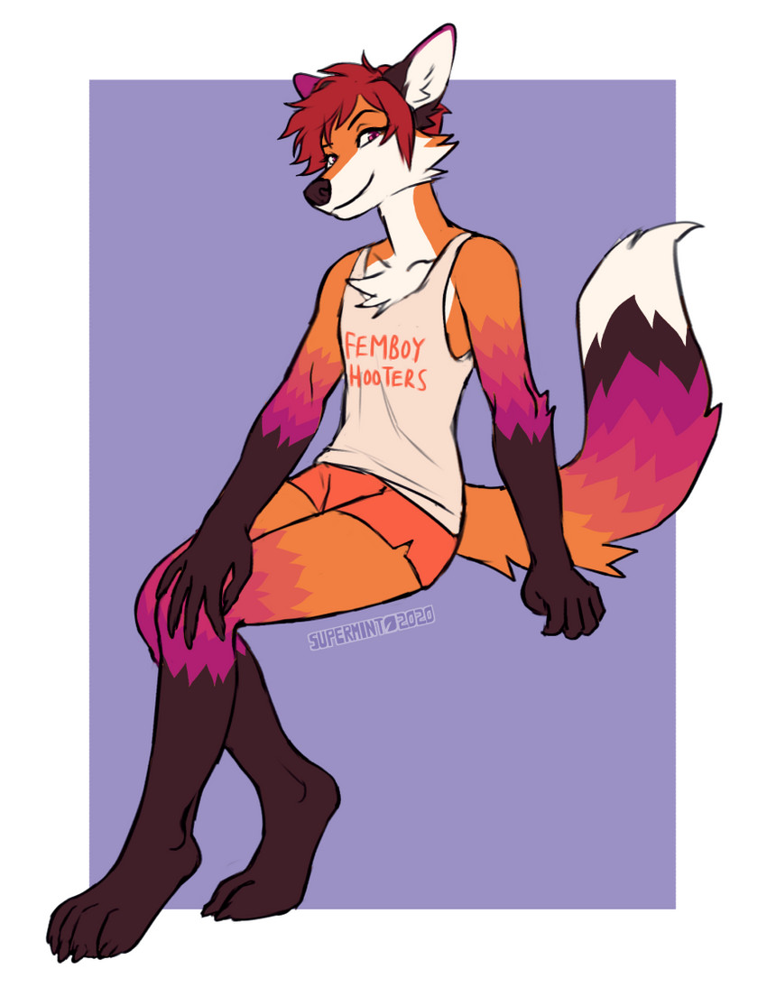 anthro bottomwear clothing dipstick_tail dolphin_shorts femboy gloves_(marking) hooters_uniform hotpants leg_markings looking_at_viewer male markings multicolored_tail shirt shorts sitting socks_(marking) solo tail tail_markings tank_top text text_on_clothing text_on_shirt text_on_tank_top text_on_topwear topwear supermint femboy_hooters hooters cassius_(foxtalic) canid canine fox mammal red_fox true_fox