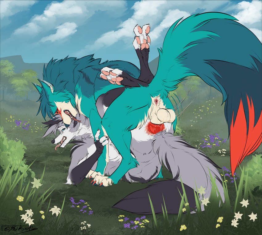 anal anal_penetration animal_genitalia animal_penis anthro anthro_on_anthro anthro_on_feral anthro_penetrated anthro_penetrating anthro_penetrating_anthro anus anvil_position balls bestiality blue_body blue_eyes blue_fur bodily_fluids butt canine_genitalia canine_penis claws duo erection feral feral_penetrating feral_penetrating_anthro fingerless_(marking) fingerless_gloves_(marking) flower from_front_position fur fur_markings genital_fluids genitals gloves_(marking) grass grey_body grey_fur hair knot leg_wrap legs_up looking_pleasured lying male male/male male_on_bottom male_on_top male_penetrated male_penetrating male_penetrating_male markings motion_lines multicolored_body multicolored_butt multicolored_fur nude on_back on_bottom on_top open_mouth orange_body orange_fur orange_penis pawpads paws penetration penile penile_penetration penis penis_in_ass pink_pawpads plant precum rear_view saliva sex striped_body striped_fur stripes tail teeth tongue tuft two_tone_butt white_body white_butt white_fur shikyotis ayakan_(krispycable) cody_(krispycable) canid canine canis fox mammal wolf hi_res
