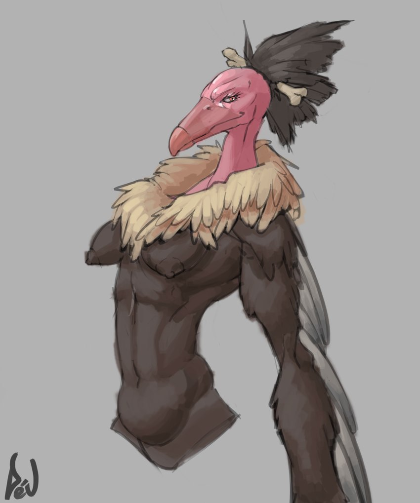 anthro anthrofied beak belly bone breasts brown_body brown_breasts brown_eyes brown_feathers brown_nipples brown_tuft eyelashes feathers female grey_background grey_body grey_feathers long_tuft looking_at_viewer mature_anthro nipples pink_body pink_head pink_neck pink_skin pupils ruff sharp_beak simple_background small_breasts solo tan_ruff thigh_up tuft wings deu nintendo pokemon avian generation_5_pokemon mandibuzz pokemon_(species) 2024 artist_name colored_sketch digital_media_(artwork) hi_res sketch