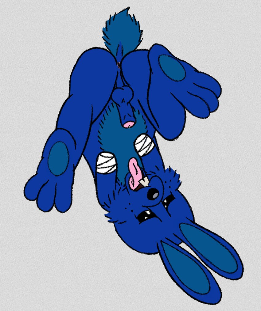 amputee anthro anus attempted_autofellatio balls bandage bandaged_arm black_eyes black_nose blue_body blue_fur buckteeth butt can't_reach countershade_tail countershade_torso countershading disability erection freckles fur genitals humanoid_genitalia humanoid_penis legs_in_air male pawpads penis perineum reaching simple_background solo tail teeth tongue tongue_out upside_down lendri_mujina broadside_beach shipwrecked_64 stumbler_o'hare lagomorph leporid mammal rabbit 2024 hi_res